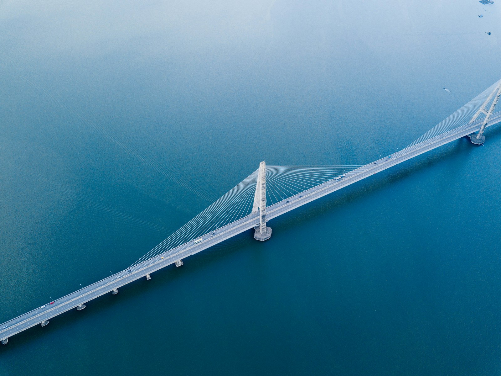 Aerial view of a cable-stayed bridge