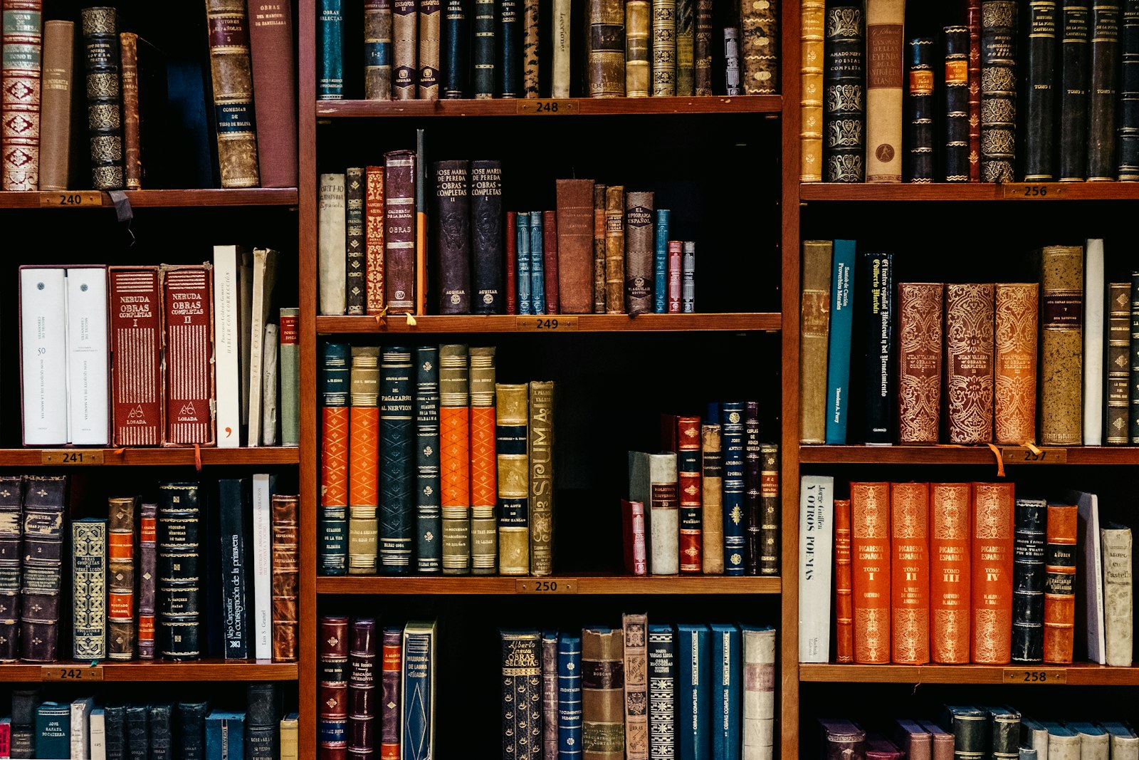 Library shelves of bound volumes
